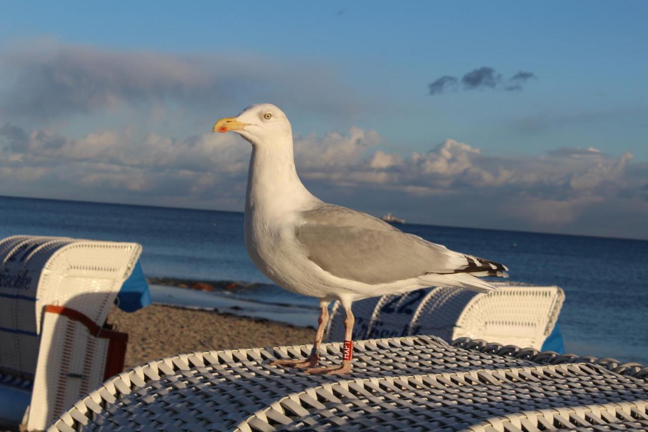 Ferienwohnungen Im Haus Strandburg Grömitz Exterior foto